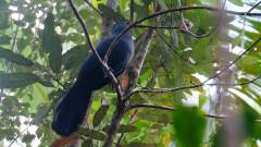 Madagaskar copyright piotr nogal 20191003_122714