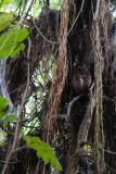 Madagaskar copyright piotr nogal 20191004_073715