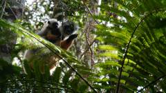 Madagaskar copyright piotr nogal 20191004_080226