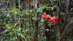Madagaskar copyright piotr nogal 20191004_083709