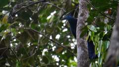 Madagaskar copyright piotr nogal 20191004_085847