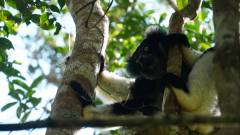 Madagaskar copyright piotr nogal 20191004_092314
