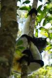 Madagaskar copyright piotr nogal 20191004_092526