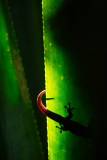 Madagaskar copyright piotr nogal 20191004_094533