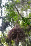 Madagaskar copyright piotr nogal 20191004_103456