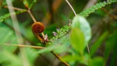 Madagaskar copyright piotr nogal 20191004_104020