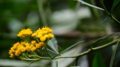 Madagaskar copyright piotr nogal 20191004_104543
