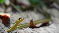 Madagaskar copyright piotr nogal 20191004_104809