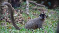 Madagaskar copyright piotr nogal 20191004_162733