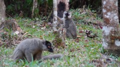 Madagaskar copyright piotr nogal 20191004_162910