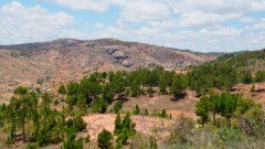 Madagaskar copyright piotr nogal 20191006_111550