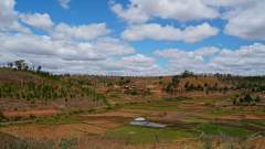 Madagaskar copyright piotr nogal 20191006_121843