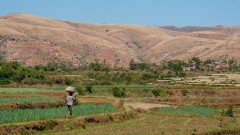 Madagaskar copyright piotr nogal 20191008_090933 Madagaskar copyright piotr nogal 20191008_090933
