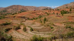 Madagaskar copyright piotr nogal 20191008_101207