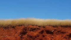 Madagaskar copyright piotr nogal 20191008_101549