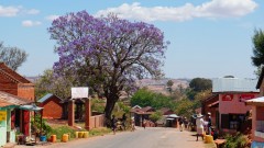 Madagaskar copyright piotr nogal 20191008_102239