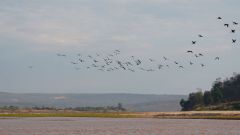 Madagaskar copyright piotr nogal 20191011_160844