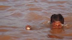 Madagaskar copyright piotr nogal 20191011_163458