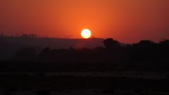 Madagaskar copyright piotr nogal 20191012_054133