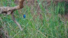 Madagaskar copyright piotr nogal 20191012_071922