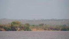 Madagaskar copyright piotr nogal 20191012_073443