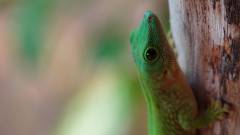 Madagaskar copyright piotr nogal 20191013_070027