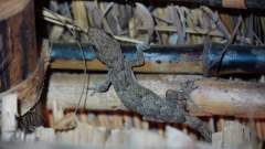 Madagaskar copyright piotr nogal 20191013_070630