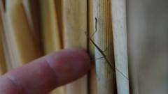 Madagaskar copyright piotr nogal 20191013_074524