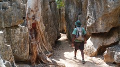 Madagaskar copyright piotr nogal 20191013_100101