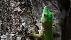 Madagaskar copyright piotr nogal 20191013_101533