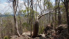 Madagaskar copyright piotr nogal 20191013_114112