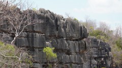 Madagaskar copyright piotr nogal 20191013_114832