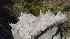 Madagaskar copyright piotr nogal 20191013_115024