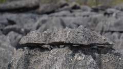 Madagaskar copyright piotr nogal 20191013_120519