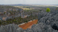 Madagaskar copyright piotr nogal 20191013_121510