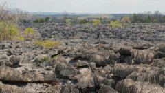 Madagaskar copyright piotr nogal 20191013_122404