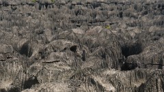 Madagaskar copyright piotr nogal 20191013_122903