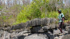 Madagaskar copyright piotr nogal 20191013_123422