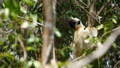 Madagaskar copyright piotr nogal 20191013_124612