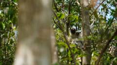 Madagaskar copyright piotr nogal 20191013_124715