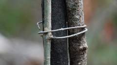 Madagaskar copyright piotr nogal 20191013_125431