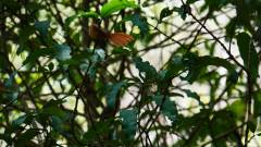 Madagaskar copyright piotr nogal 20191013_131822