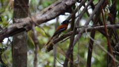 Madagaskar copyright piotr nogal 20191013_133239