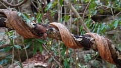 Madagaskar copyright piotr nogal 20191013_133613