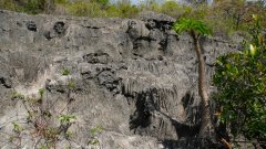 Madagaskar copyright piotr nogal 20191013_134306