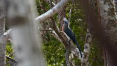 Madagaskar copyright piotr nogal 20191013_135638