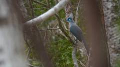 Madagaskar copyright piotr nogal 20191013_135705