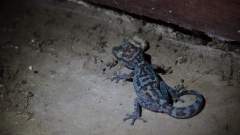 Madagaskar copyright piotr nogal 20191013_144413