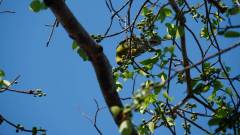 Madagaskar copyright piotr nogal 20191014_082040