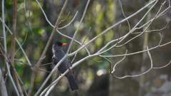 Madagaskar copyright piotr nogal 20191014_083716